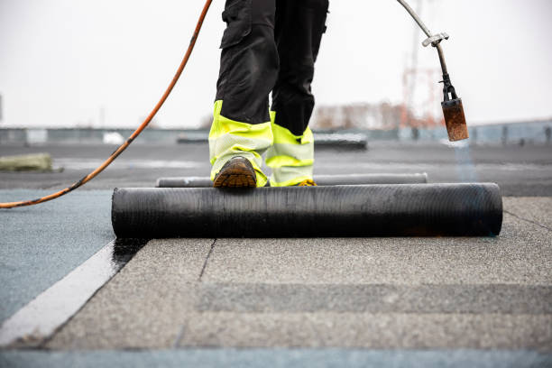 Best Sheet Metal Roofing  in Schertz, TX